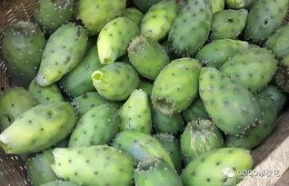 铭亮min吃瓜,揭秘娱乐圈幕后故事