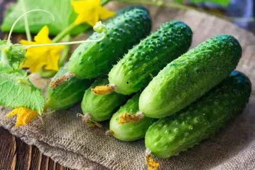 水花吃瓜,揭秘娱乐圈的甜蜜与苦涩