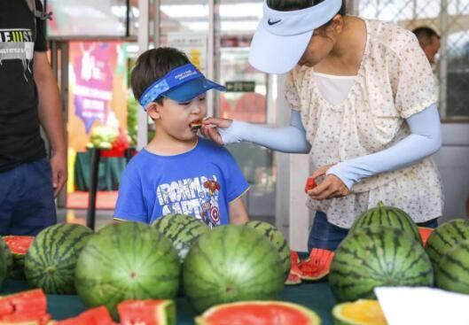 吃瓜变认亲,揭秘网络时代的亲情奇缘