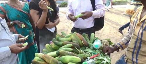 西双版纳吃瓜,尽享热带风情美食之旅