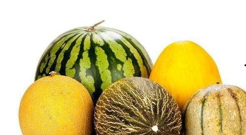 还有哪些瓜可以吃,盘点你还不知道的美食瓜类