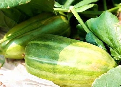 还有哪些瓜可以吃,盘点你还不知道的美食瓜类