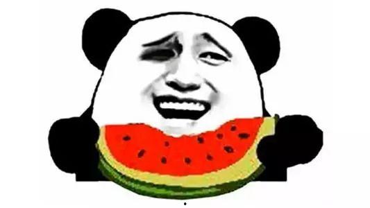 吃瓜舔掉吞金,揭秘网络热词背后的趣味与哲理