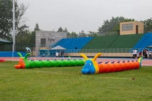 师大操场吃瓜,夏日吃瓜盛宴，共享悠闲时光