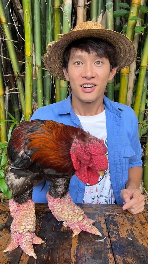 吃瓜挑战背景,网络狂欢背后的文化现象与心理解读