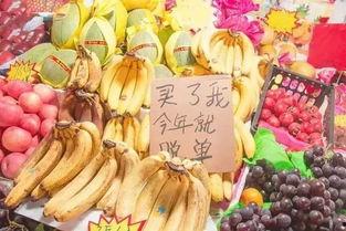 吃皮卖瓜文案,一瓜两吃，尽享美味双重体验