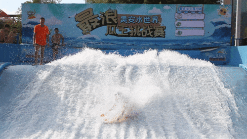 冲浪吃瓜君,揭秘网络潮流背后的趣味与真相