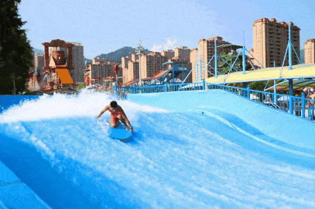 冲浪吃瓜君,揭秘网络潮流背后的趣味与真相