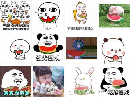 吃瓜群众每天都在吃瓜,吃瓜群众的生活日常