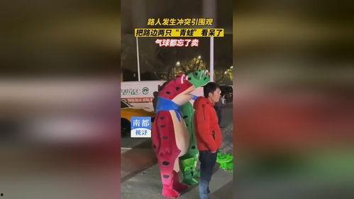 青蛙站路边吃瓜,揭秘夏日消暑趣事