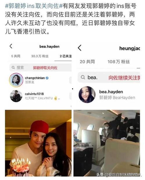 带你吃大瓜视频,带你揭秘“带你吃大瓜”视频背后的热门话题与趣味瞬间