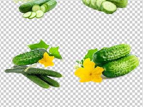 吃瓜真香素材下载,揭秘“真香”背后的故事