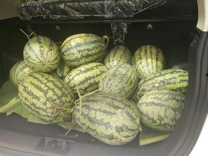 带凳子吃瓜爆料,揭秘娱乐圈幕后真相