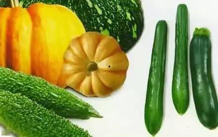 在宗门内吃瓜,吃瓜群众揭秘门派秘辛