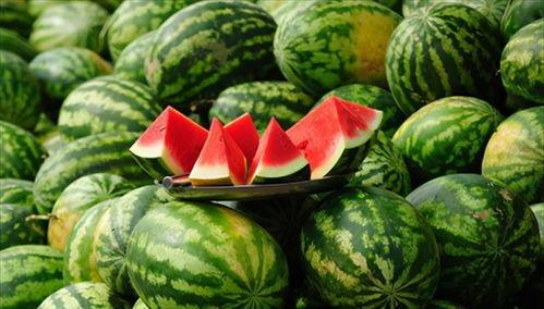 在宗门内吃瓜,吃瓜群众揭秘门派秘辛