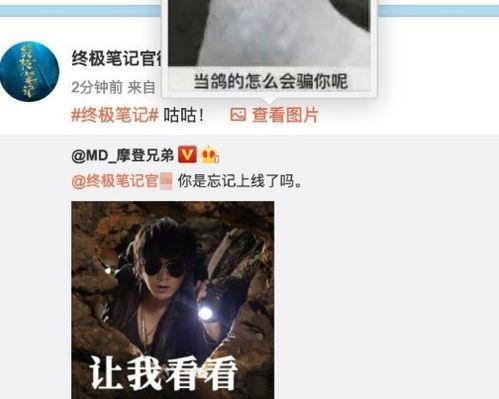 终极笔记吃瓜,揭秘神秘事件的背后真相