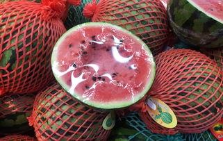 上海夜晚吃瓜群众