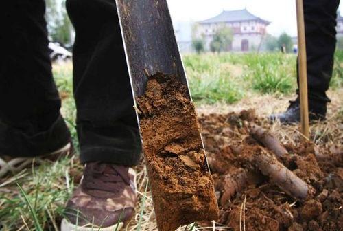 洛阳铲吃瓜勺,探寻古都洛阳的美食传奇