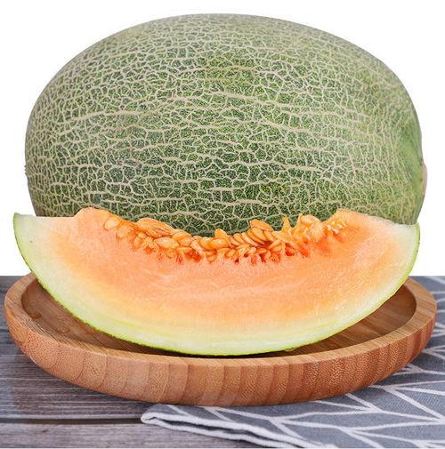 丝路小蜜瓜咋吃,解锁夏日清新美味的新吃法