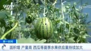 巫山祥云路吃瓜群众,吃瓜群众见证的街头风云