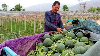 巫山祥云路吃瓜群众,吃瓜群众见证的街头风云