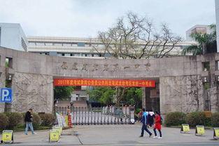 龙岩学院吃瓜事件,校园风波背后的真相揭秘