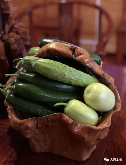 郑州网红吃瓜,揭秘幕后故事与热门话题