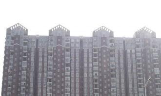 学府华庭吃瓜,揭秘网红小区的吃瓜故事