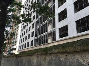 学府华庭吃瓜,揭秘网红小区的吃瓜故事