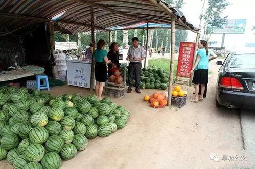 金环市场吃瓜事件,揭秘网络谣言背后的真相