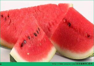 吃瓜穷海,揭秘娱乐圈背后的辛酸与真相