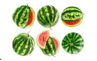 测量吃瓜,揭秘吃瓜背后的科学奥秘