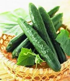 error吃瓜,网络热词背后的故事与影响