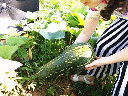 小何在线吃瓜,揭秘娱乐圈幕后故事