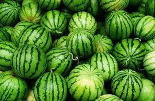 吃瓜wx群广州,揭秘城市生活百态