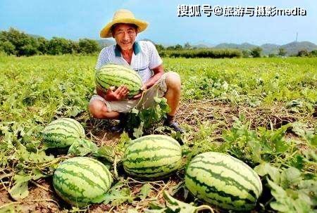 星路吃瓜,揭秘娱乐圈背后的吃瓜真相