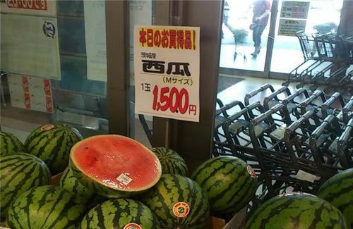 智博校区吃瓜,校园生活趣味瞬间大揭秘