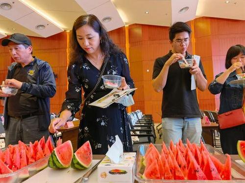 黄阿姨吃瓜,瓜香四溢的悠闲时光