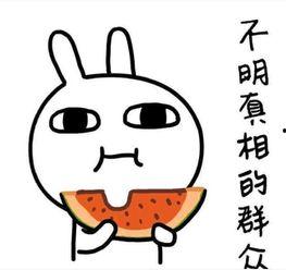 吃瓜搞笑文案治愈系,吃瓜搞笑文案治愈心灵之旅