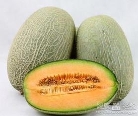 吃头孢后能否吃哈密瓜,揭秘抗生素与水果的饮食禁忌
